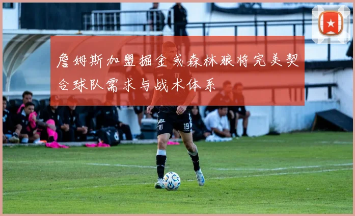 詹姆斯加盟掘金或森林狼将完美契合球队需求与战术体系